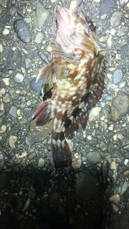 期待していたけど