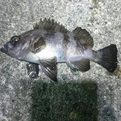 まだまだ寒い。