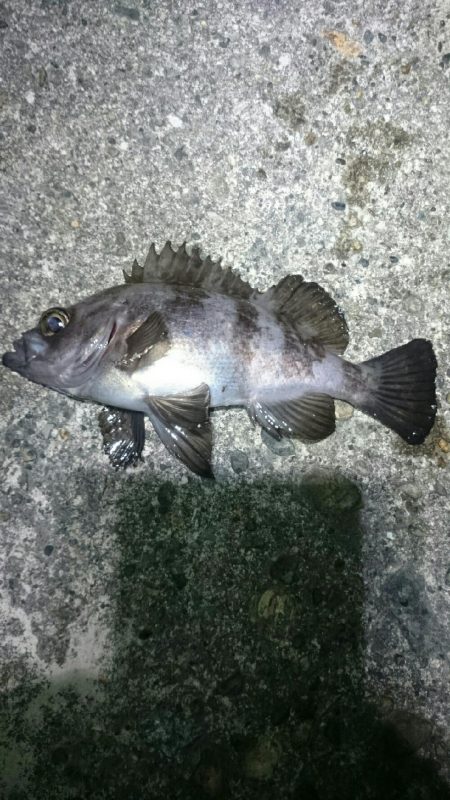 まだまだ寒い。