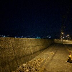 満月メバルはリアクションバイトで…