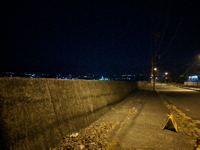 満月メバルはリアクションバイトで…