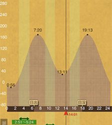 温かい春ですな