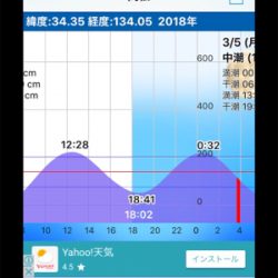 メバルフロートゲーム