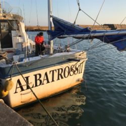 アルバトロスさんにて青物ジギング