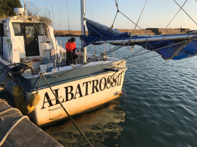 アルバトロスさんにて青物ジギング