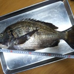 久し振りの垂水一文字