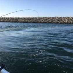 釣り人家ロックフィッシュショート便