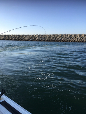 釣り人家ロックフィッシュショート便