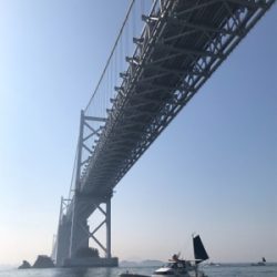 鯛サビキ  瀬戸大橋付近  大量！