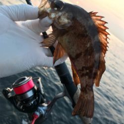 んん~(釣行 其の拾参)