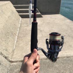 ラッキー!チヌ2枚!