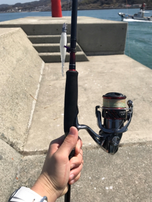 ラッキー!チヌ2枚!