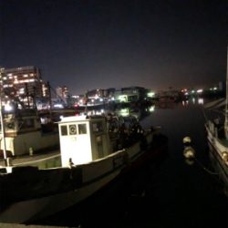 垂水漁港ナイトゲーム