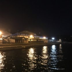 エギングで？？？