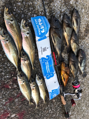 このメバルかっけぇ(｀ﾛ´)(釣行 其の拾…