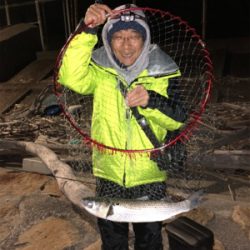 メバリングナイトゲーム♪シーバシング♪