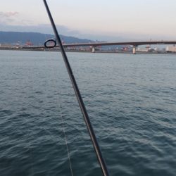 今年初ガシラ、アイナメゲット！