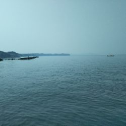 のっこみはまだのようです