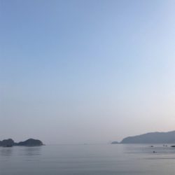 産卵シーズン個体狙いのコウイカランガンエギング