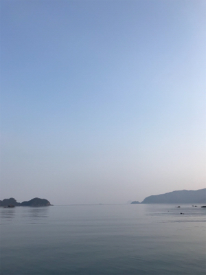 産卵シーズン個体狙いのコウイカランガンエギング