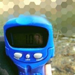 エギング釣行その12