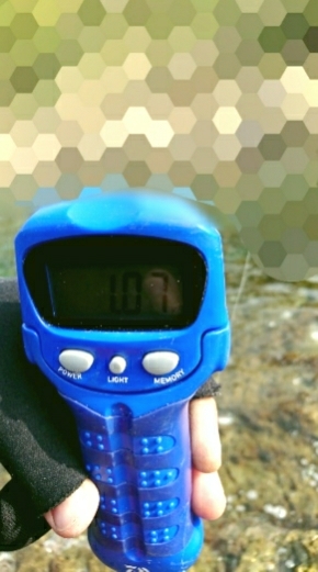 エギング釣行その12