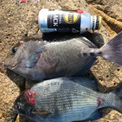 沖ノ島フカセグレ