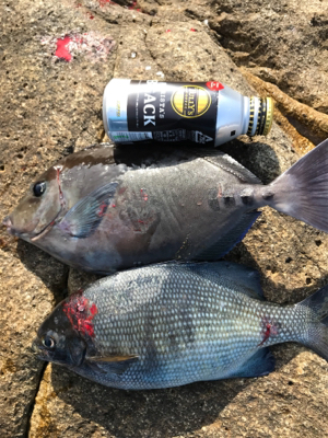 沖ノ島フカセグレ