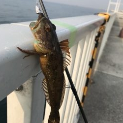 アナハゼ も楽しい！