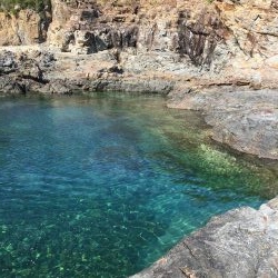 春イカ狙ってきました。