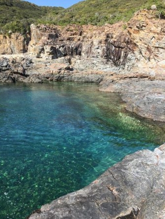 春イカ狙ってきました。