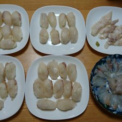 エビ撒き絶好調！