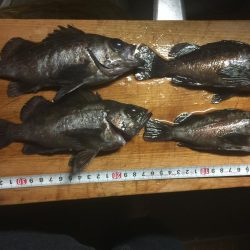 お雛様に感謝！