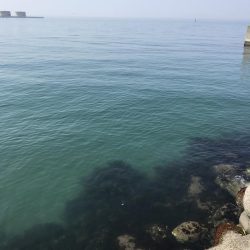 スズキゲット！