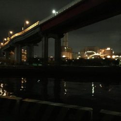 シーバスゲット！