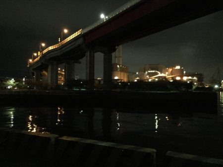 シーバスゲット！