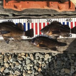 寒かったです！