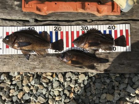 寒かったです！