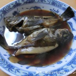 静寂な中でメバル2匹