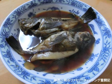 静寂な中でメバル2匹