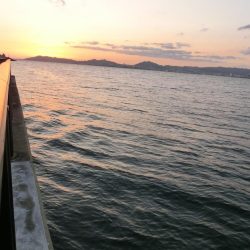 強風激流で頑張ってみたが