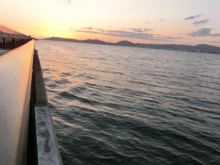 強風激流で頑張ってみたが