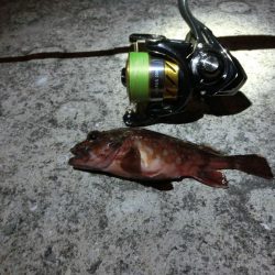 気候は良かったが