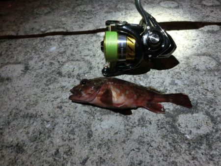 気候は良かったが