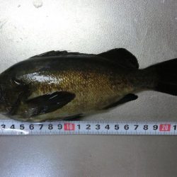 爆風大荒れの中の釣果