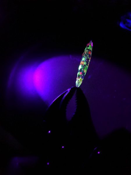 ハンドメイドプラグで初釣果