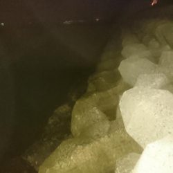 そろそろ春本番