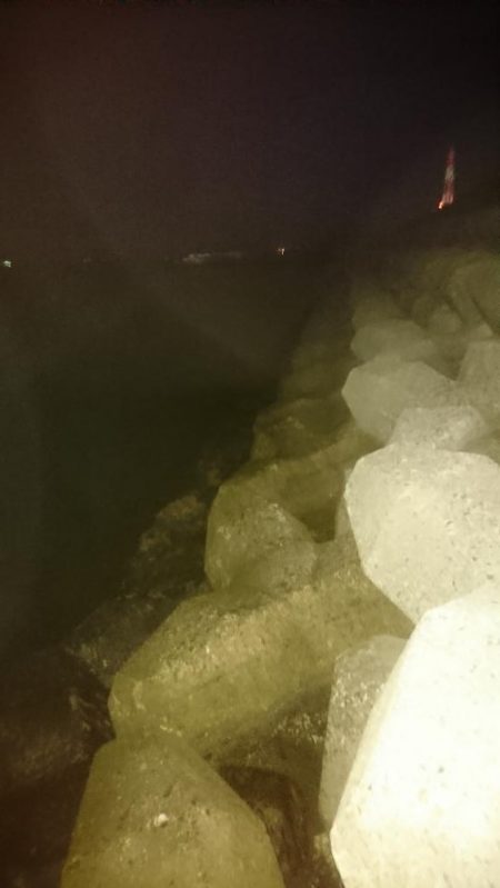 そろそろ春本番