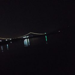 渋々メバリング