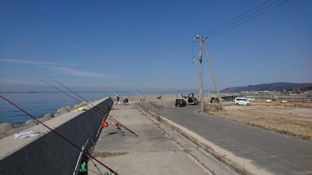 花見ガレイ(戻りガレイ)